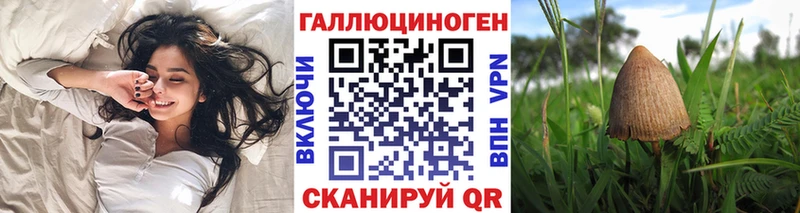 дарнет шоп  Яхрома  Псилоцибиновые грибы Psilocybe 