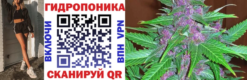 закладки  Яхрома  Канабис THC 21% 